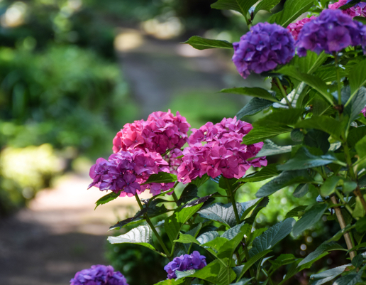 01 friedhof blankenese vorsorge content